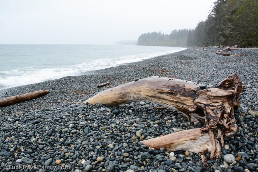 pebbles, tree stump and the ocean at Sandcut Beach