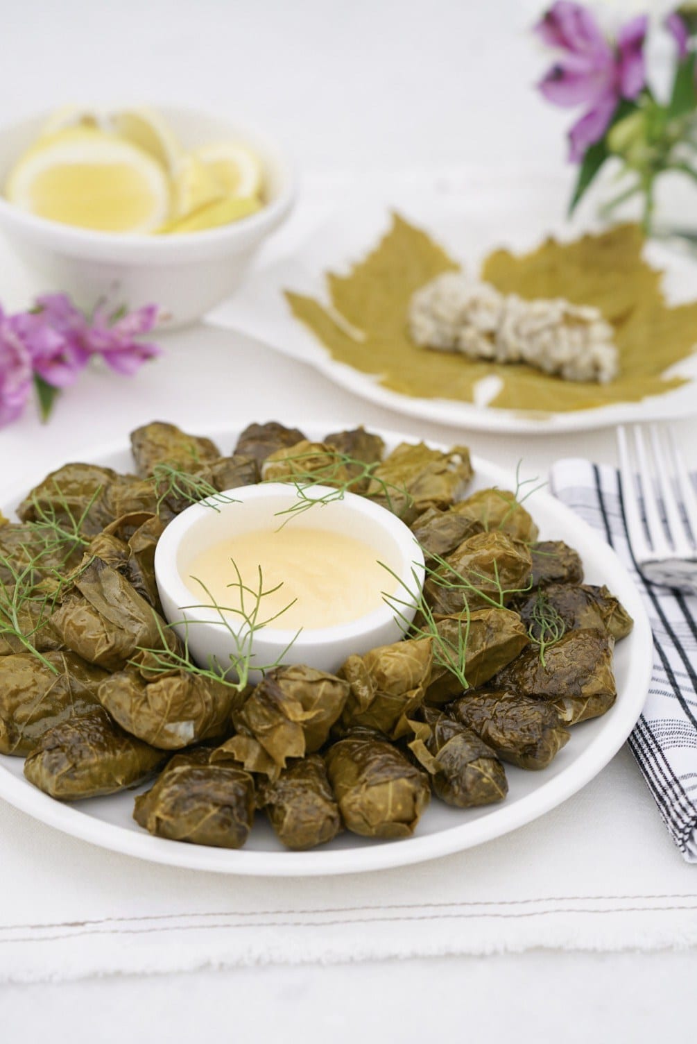 Stuffed Grape Leaves Dolmades dairy and gluten free