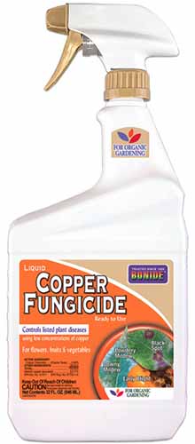 A close up of a bottle of Bonide copper fungicide isolated on a white background.